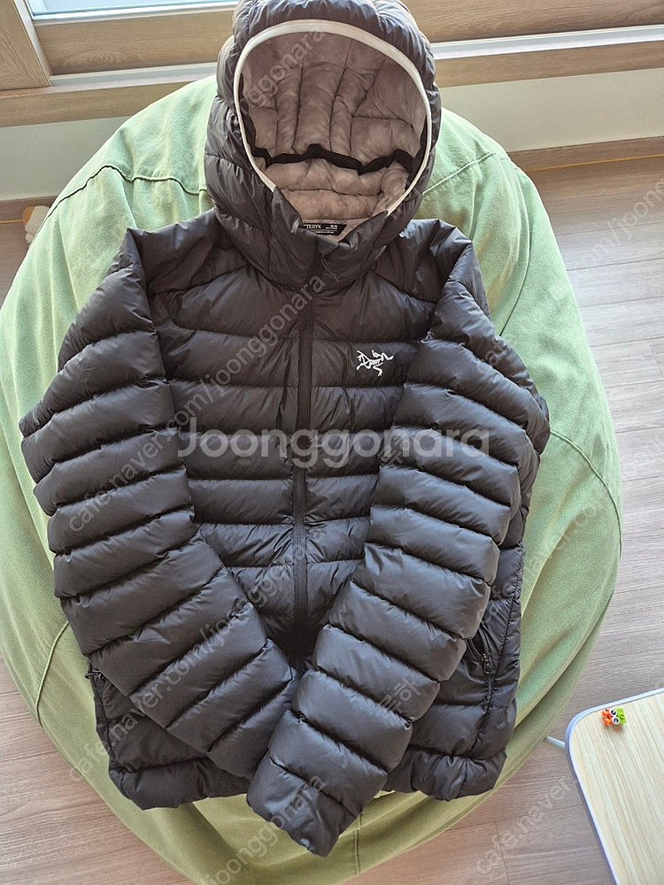 [M] 아크테릭스 세륨 SV 오르카--0