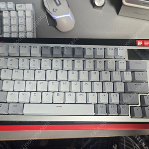 ASUS ROG AZOTH NX MoonLight White PBT 사전윤활 청축 풀박스