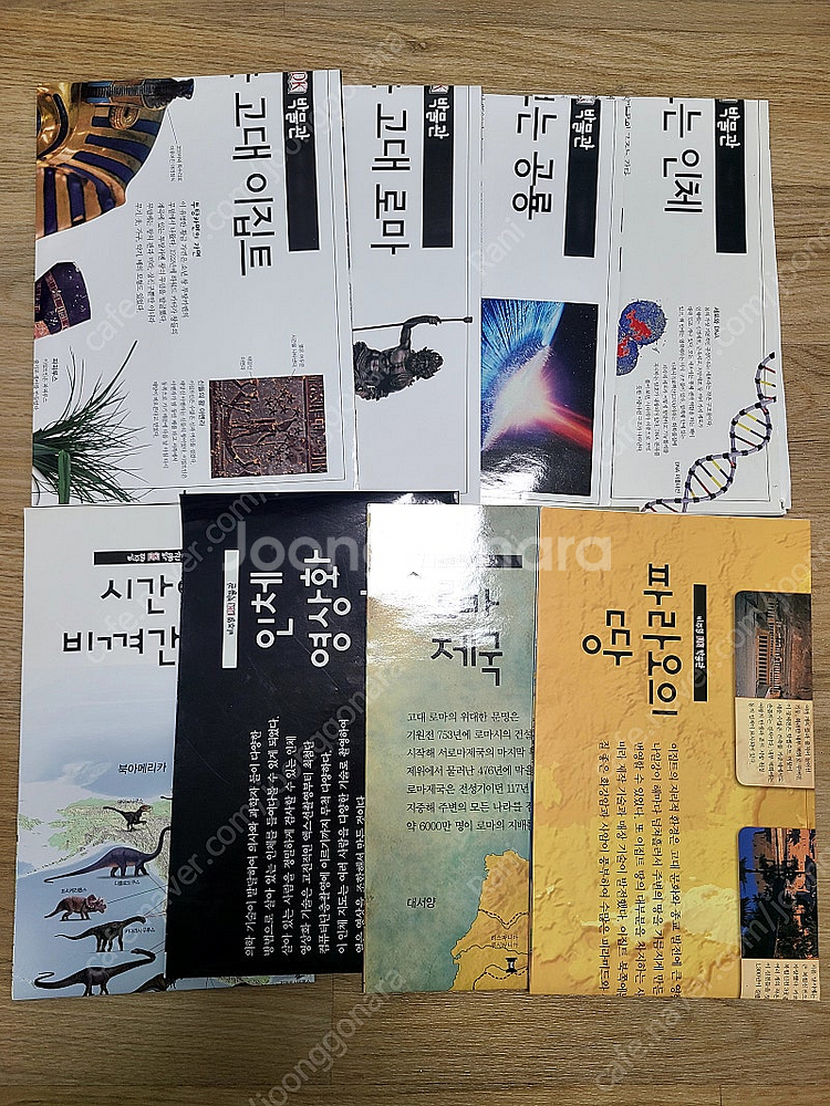 DK비주얼박물관 엑스퍼트세트--2