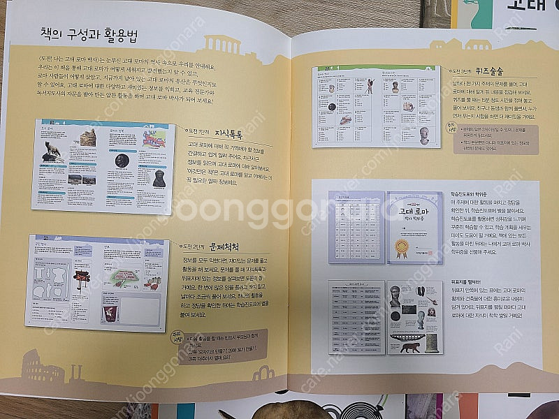 DK비주얼박물관 엑스퍼트세트--5