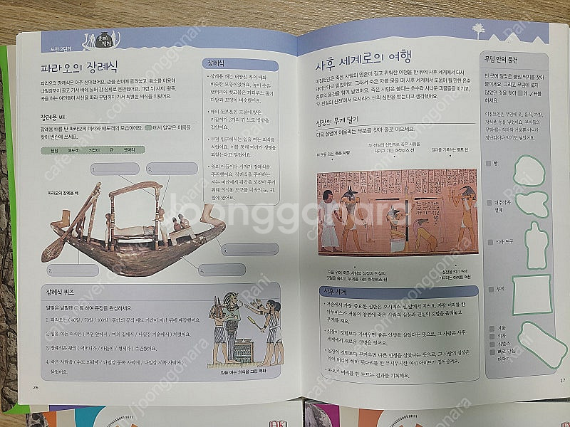 DK비주얼박물관 엑스퍼트세트--6