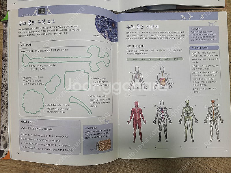 DK비주얼박물관 엑스퍼트세트--7