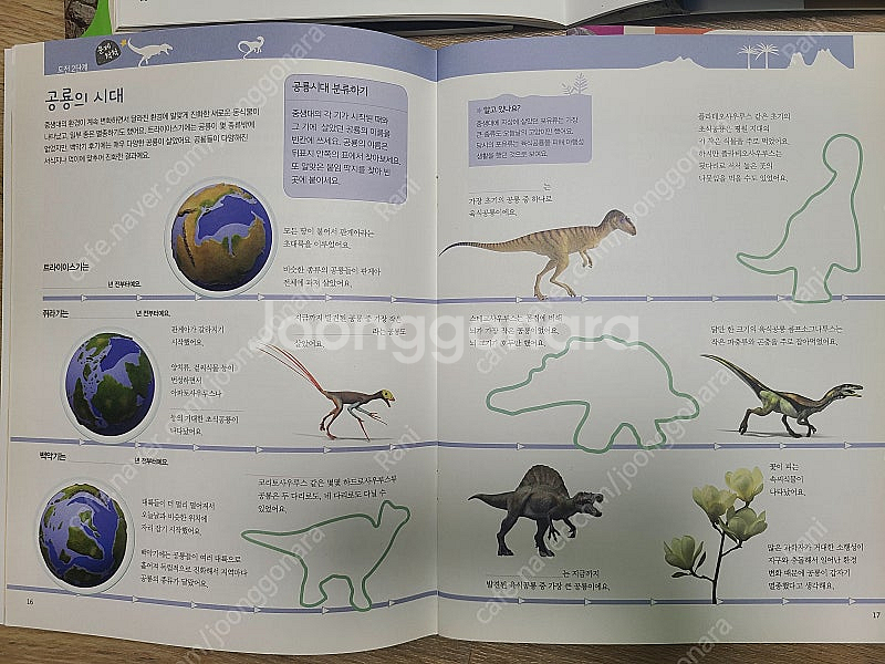 DK비주얼박물관 엑스퍼트세트--8