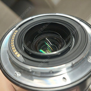 니콘 Zf + 2470 f4