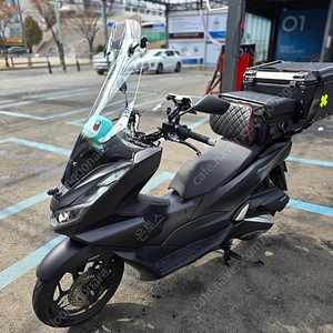 PCX125 혼다 2024년식 배달 풀옵션