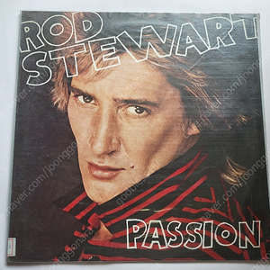 ​로드 스튜어트 Rod Stewart 라이센스 (LP)