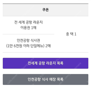 전세계 공항 라운지 이용권 1매 or 인천공항 식사권 2매 팝니다