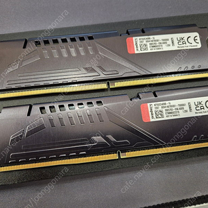 킹스톤 FURY DDR5-5200 CL40 Beast 32gb(16x2) ddr-5 xmp