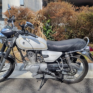 울프 125