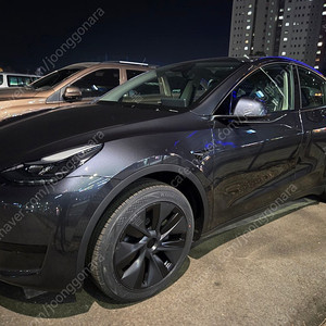 테슬라 모델Y RWD 25년2월식