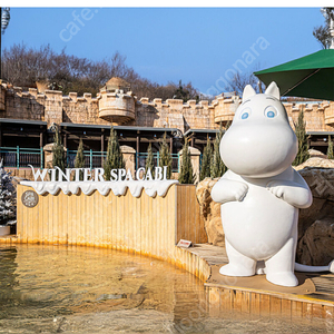 캐리비안베이 종일권