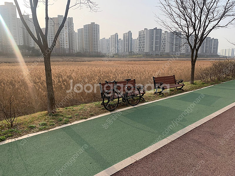 메리다 스컬트라 100 디스크 로드 자전거 판매합니다--0