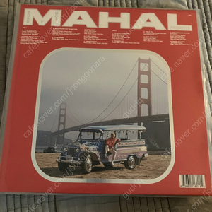 토로 이 모아(toro y moi) mahal LP