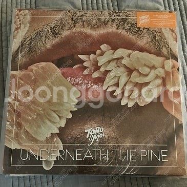 토로 이 모아(toro y moi) underneath...--0