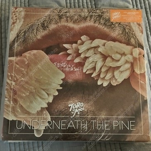 토로 이 모아(toro y moi) underneath the pine lp