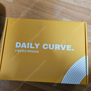 일상곡선 허리 견인 보호대 팝니다
