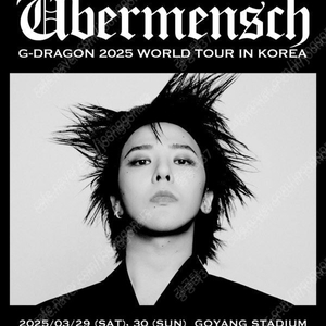 [배송지 변경 먼저]지드래곤 콘서트 티켓 G-DRAGON 2025 WORLD TOUR 'Übermensch' IN KOREA VIP구역 양도