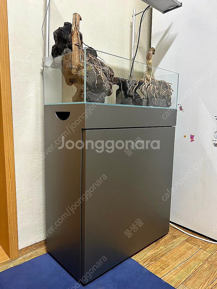 ADA 우드 캐비넷 60 건 메탈릭 실버 어항축양장--1