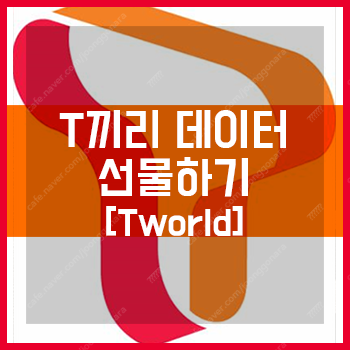 sk 데이터 2기가 판매합니다--0