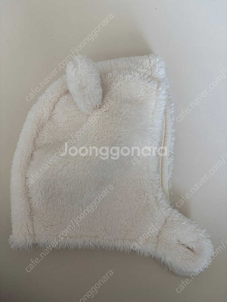 꼬숑 베어햇--1
