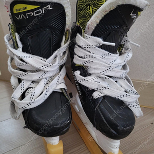 bauer vapor 3x skates