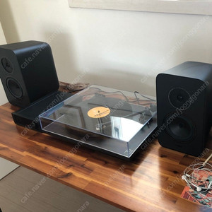 레가 시스템원 Rega System One