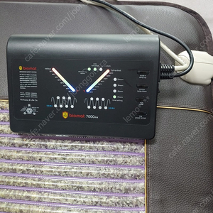 리치웨이 바이오매트 싱글