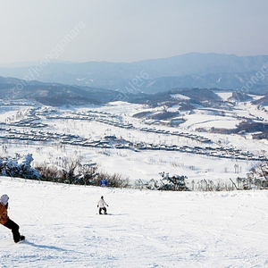 (3월1일2일) 전국 스키장 리조트 확보객실!!