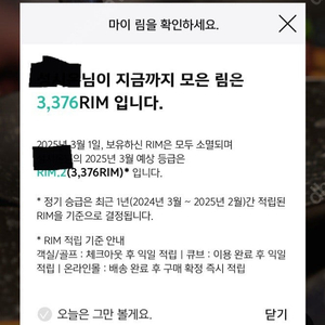 아난티 림 300림 1림당 46원