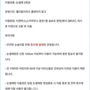 웰리힐리 눈썰매 3회 이용권