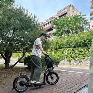 스위프티킥스쿠터(킥보드) 전동 킥보드팝니다.