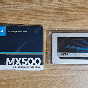 크루셜 SSD mx500 1000GB