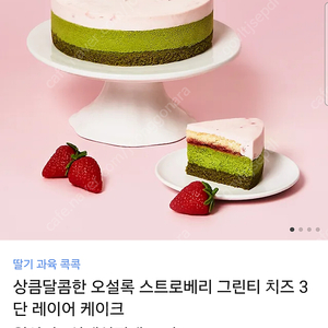 오설록 스트로베리 그린티 치즈 3단 레이어 케이크