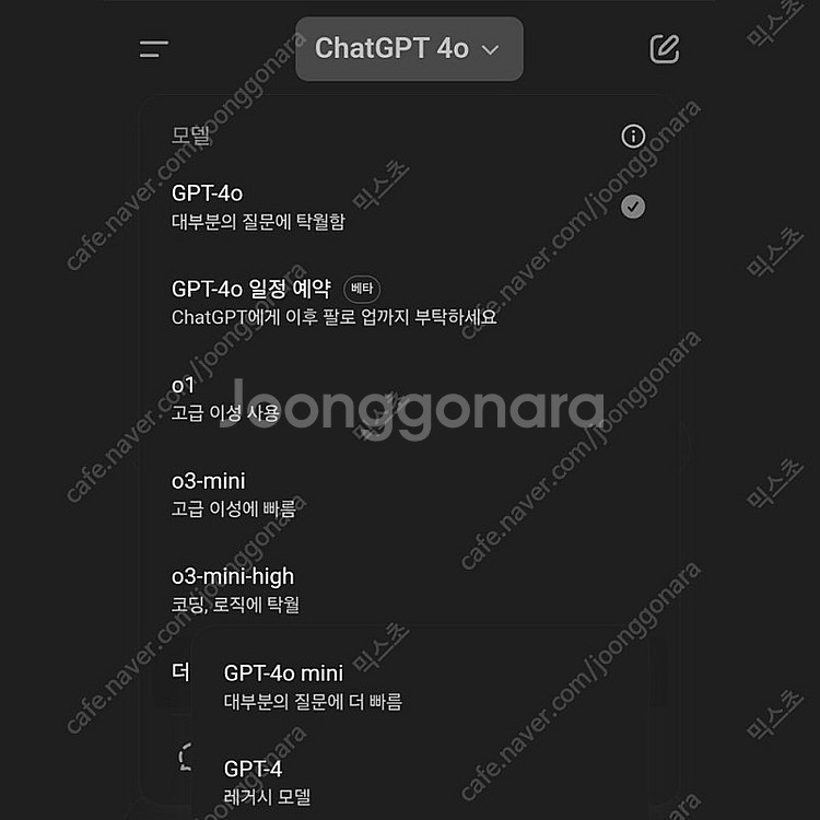 OpenAI Chat GPT Plus 4o / 챗 지피...--2