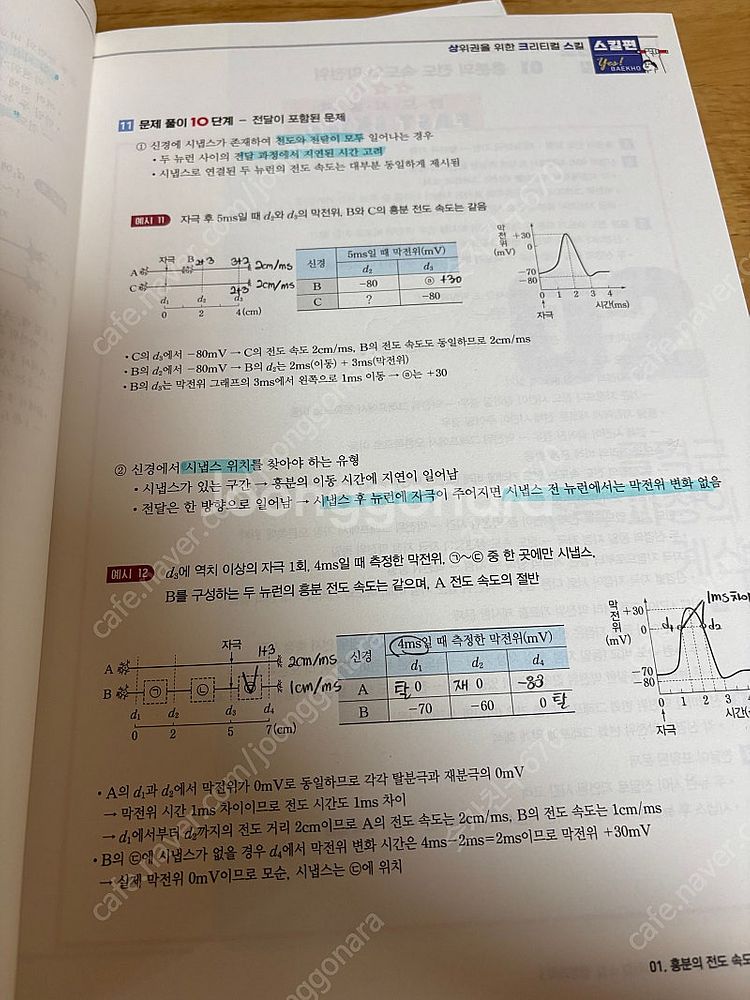 2024백호 상위권을 위한 크리티컬 스킬 상크스 생명1--1