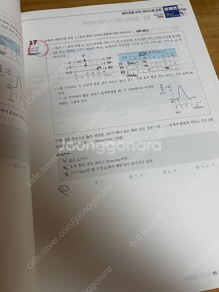 2024백호 상위권을 위한 크리티컬 스킬 상크스 생명1--2