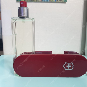 빅토리녹스 스위스아미 클래식 포맨 한정판 EDT 100ml 향수 Victorinox Swiss Army 리미티드 에디션