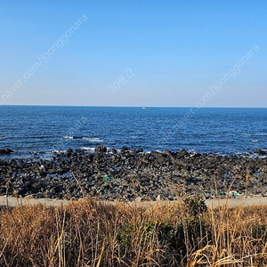 갤러리아 영수증 실적 삽니다, 10프로 할인 무료 나눔합니다.