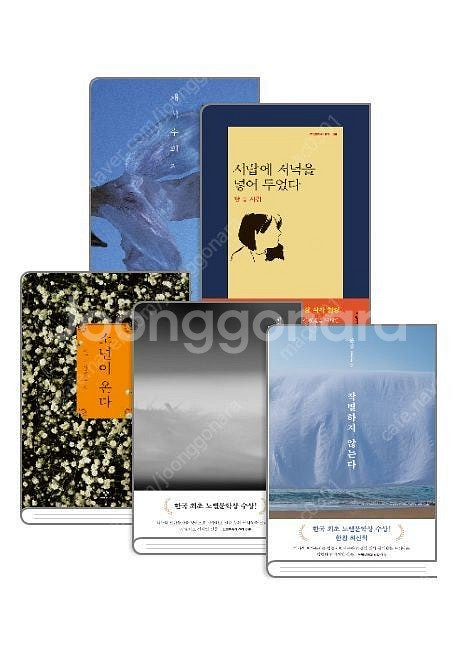 한강 작가 5권 세트(교보문고직발송)(낱권,다른책 가능...--0