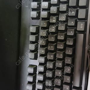 로지텍 gpro tkl 싸게급쳐합니다