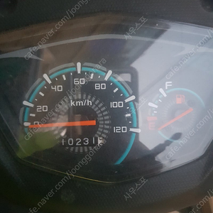 24년식 VF100R 신형(10231km)