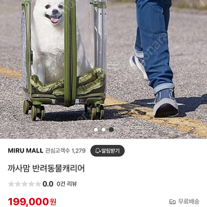 고양이 이동장 캐리어