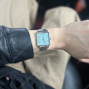 노모스 nomos 448 Tetra Immortal Beloved + Sapphire Crystal Back (테트라 임모털 비러브드 29.5) 영원한 사랑