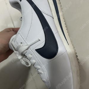 나이키 코르테즈 240