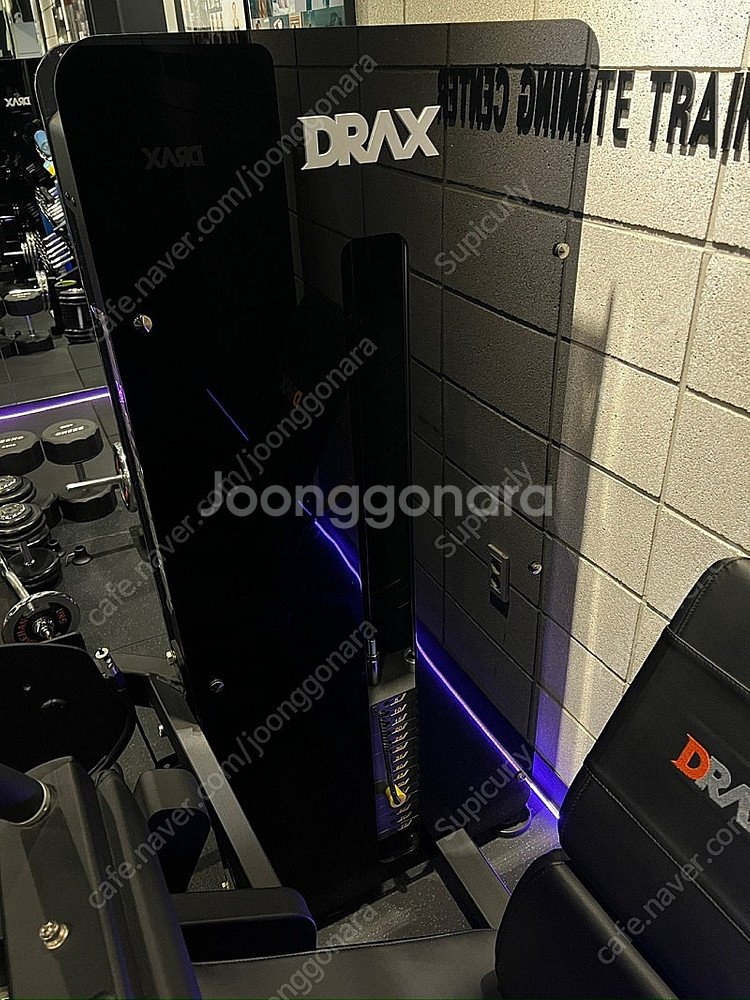 디랙스 drax 웨이트 핀머신 ( 레그익스텐션 / 레그...--8