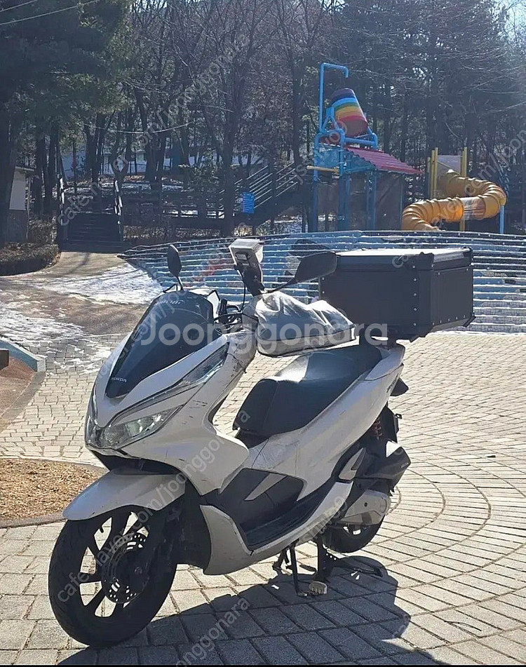 Pcx125 20년식--0