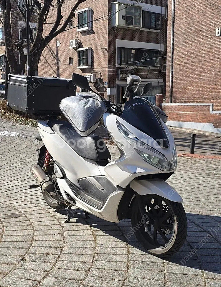 Pcx125 20년식--1