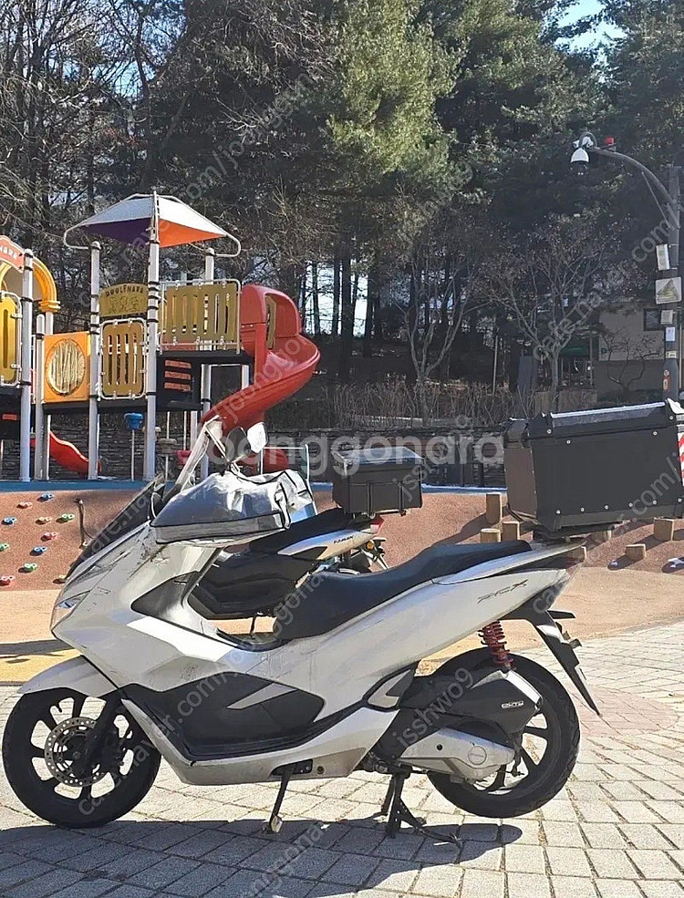 Pcx125 20년식--2