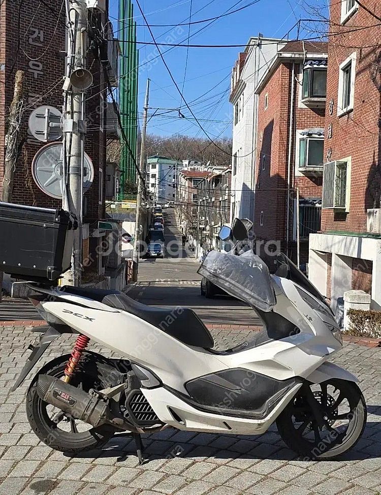 Pcx125 20년식--3