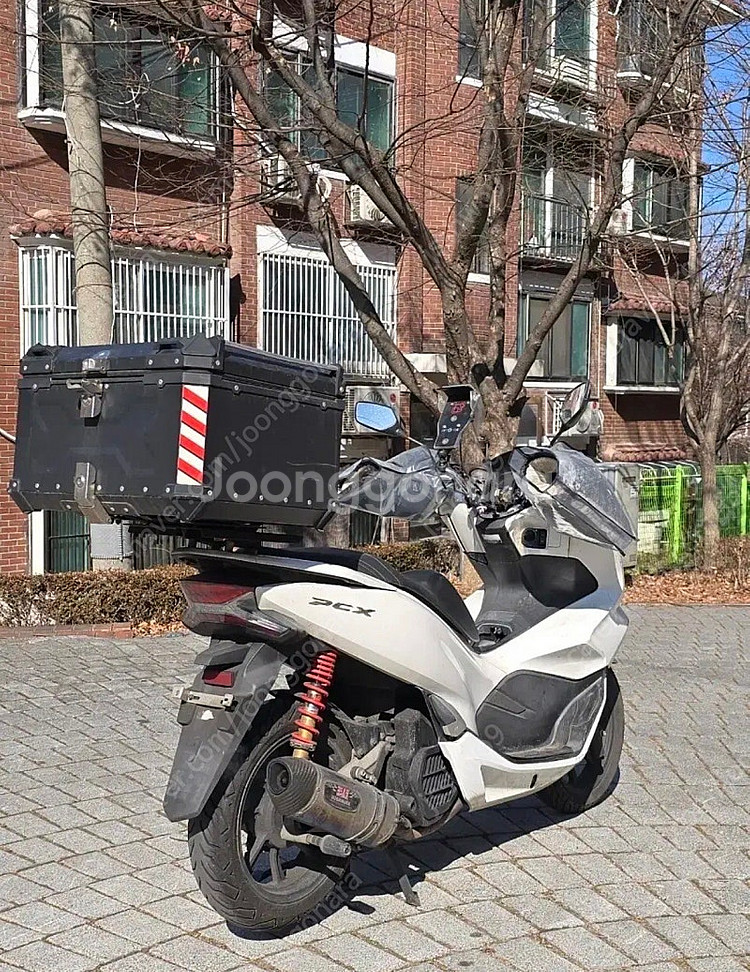 Pcx125 20년식--5